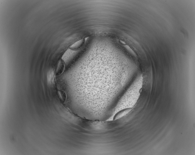 X0000111660142200907311145