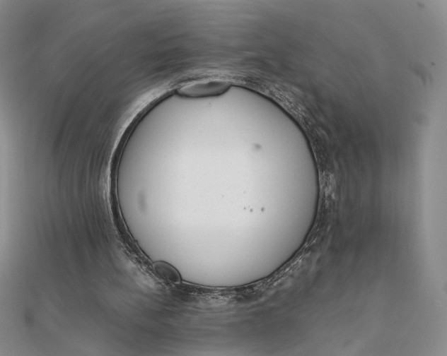 X0000111660148200907311145