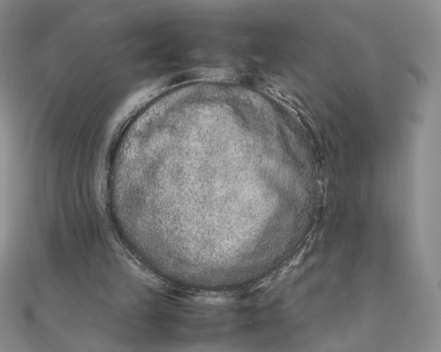 X0000111660149200907311145