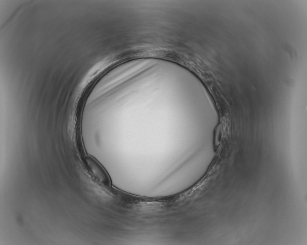 X0000111660150200907311145