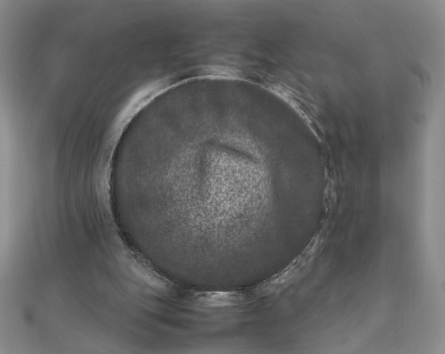 X0000111660151200907311145