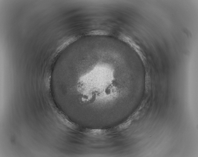 X0000111660153200907311145