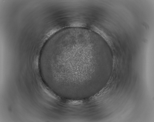 X0000111660155200907311145