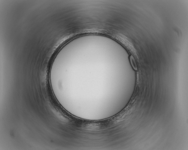 X0000111660156200907311145