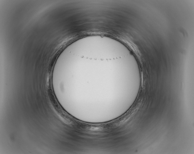 X0000111660157200907311145