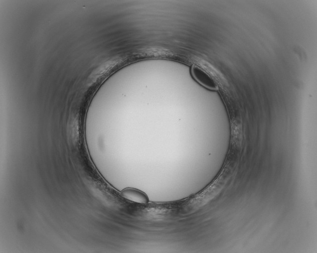 X0000111660158200907311145