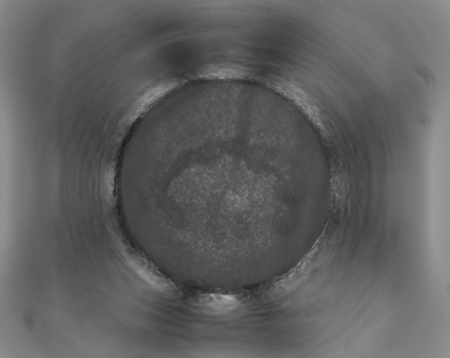 X0000111660159200907311145