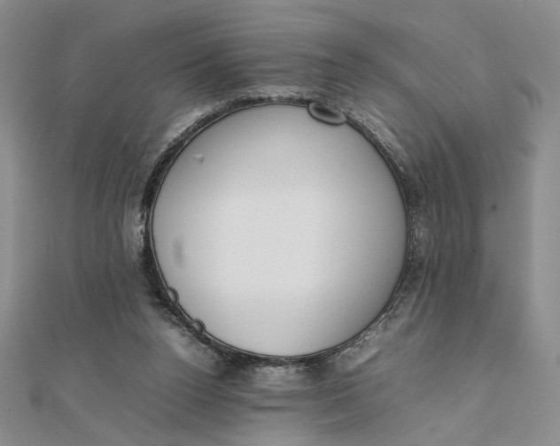 X0000111660160200907311145