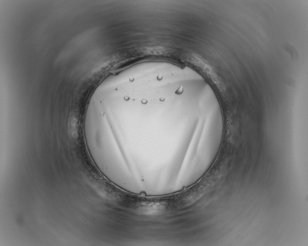 X0000111660161200907311145