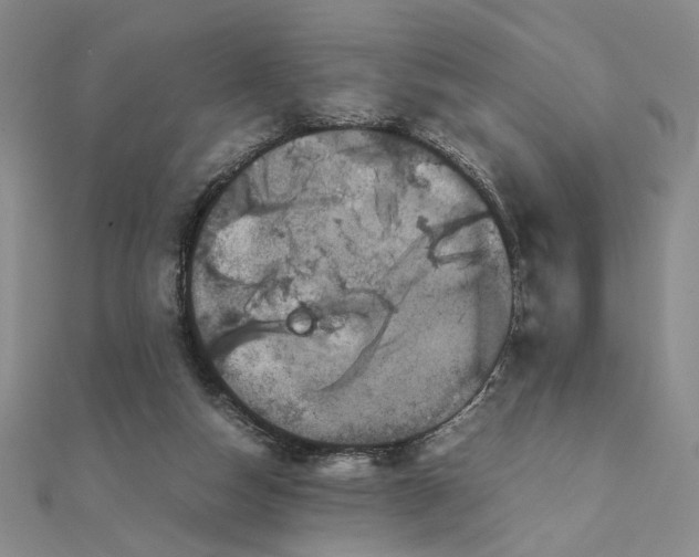 X0000111660162200907311145