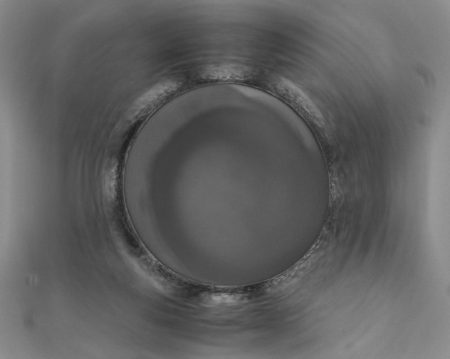 X0000111660163200907311145