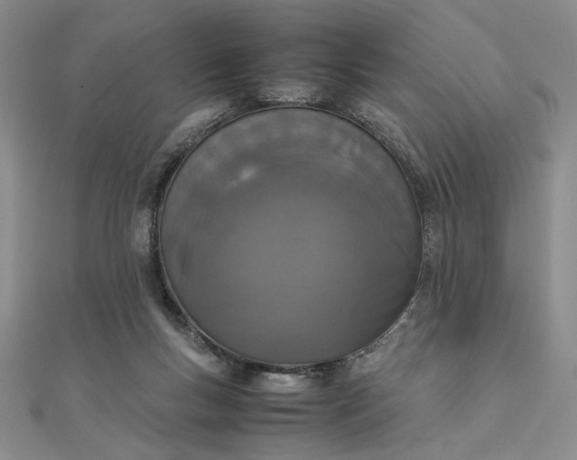 X0000111660167200907311145