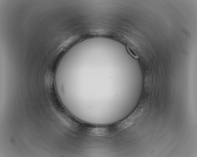 X0000111660168200907311145