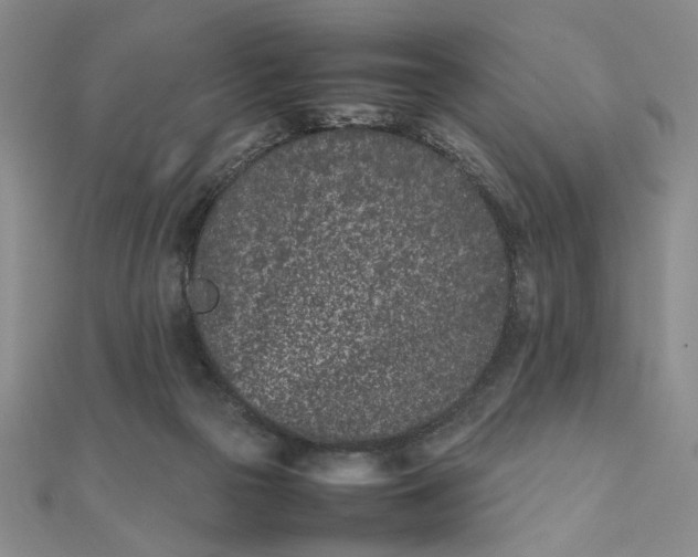 X0000111660169200907311145