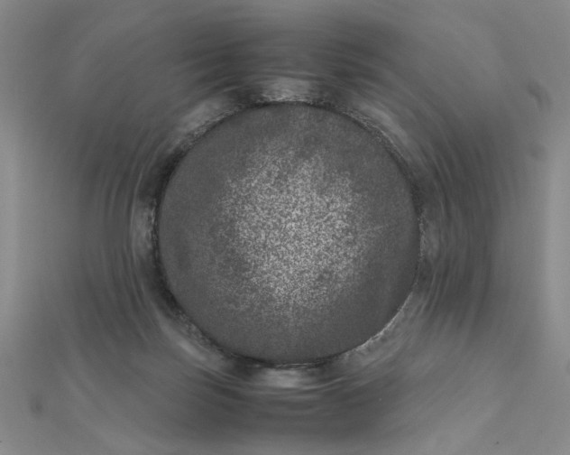 X0000111660171200907311145