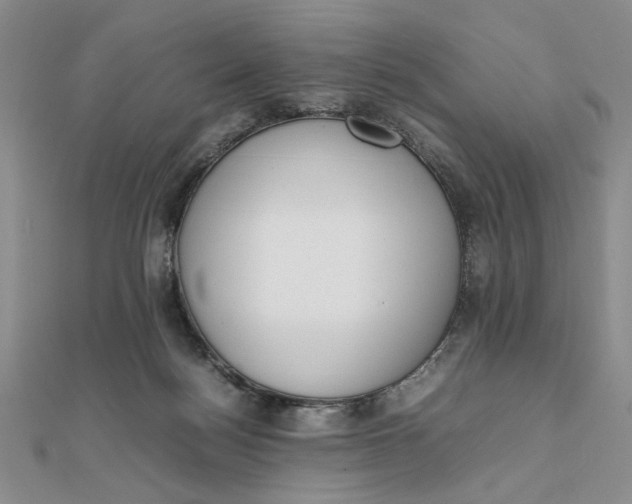 X0000111660172200907311145