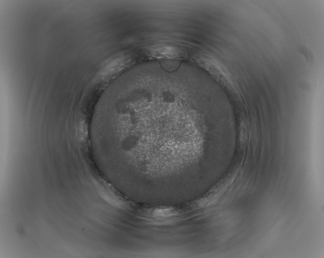 X0000111660173200907311145