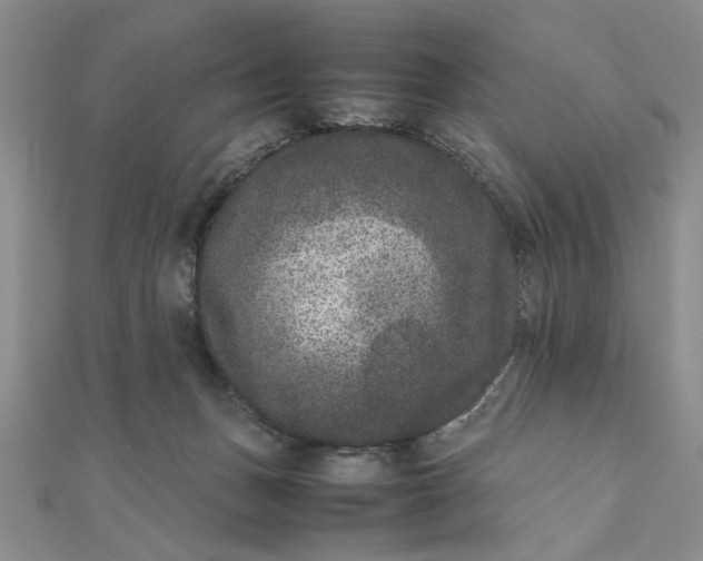 X0000111660175200907311145