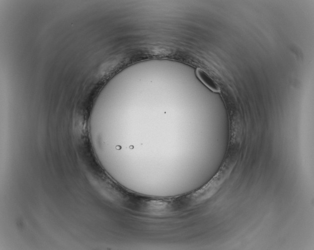 X0000111660176200907311145