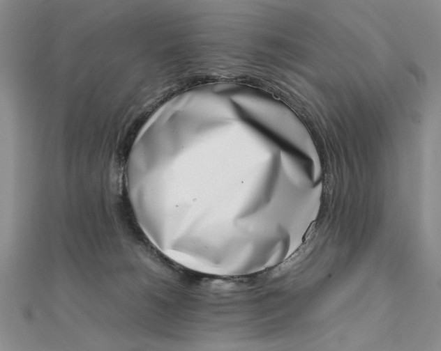 X0000111660180200907311145