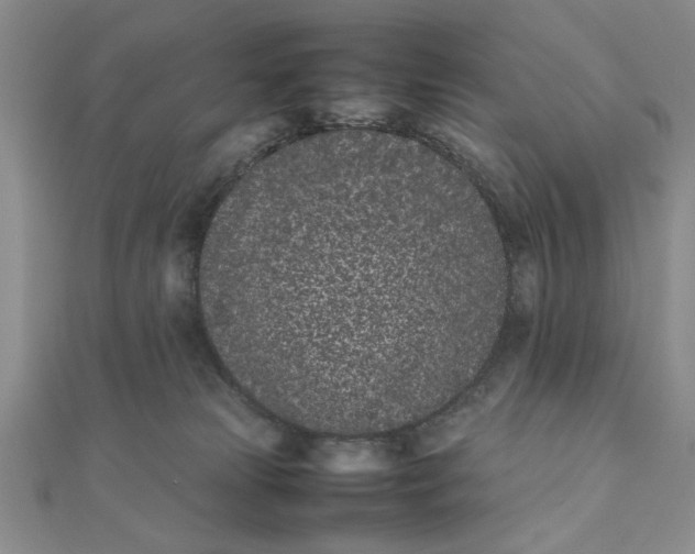 X0000111660181200907311145