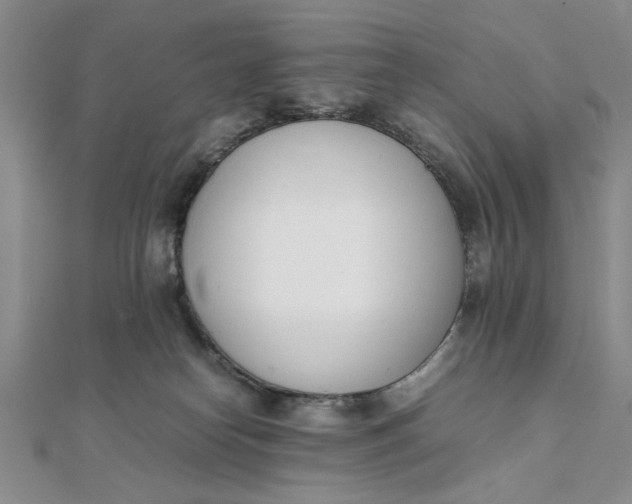 X0000111660182200907311145