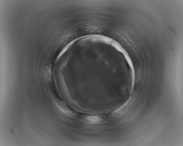 X0000111660183200907311145