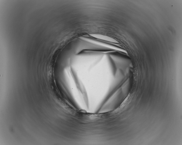 X0000111660184200907311145