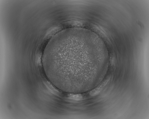 X0000111660185200907311145