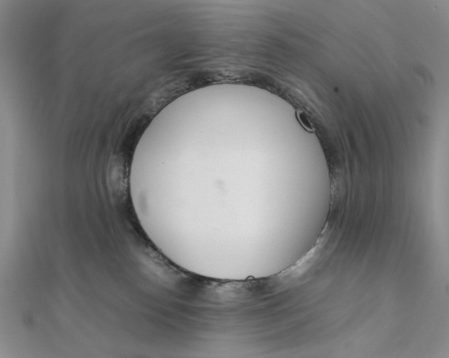 X0000111660186200907311145