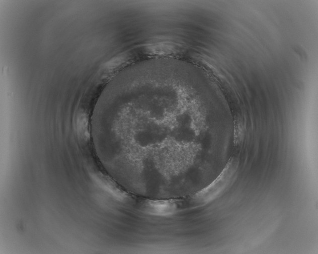 X0000111660187200907311145