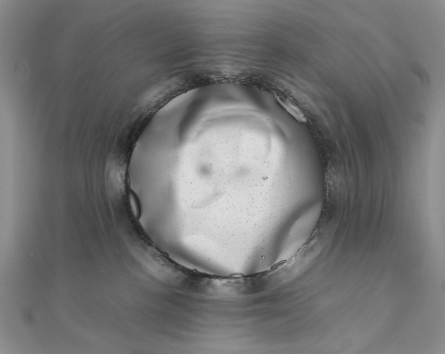 X0000111660188200907311145