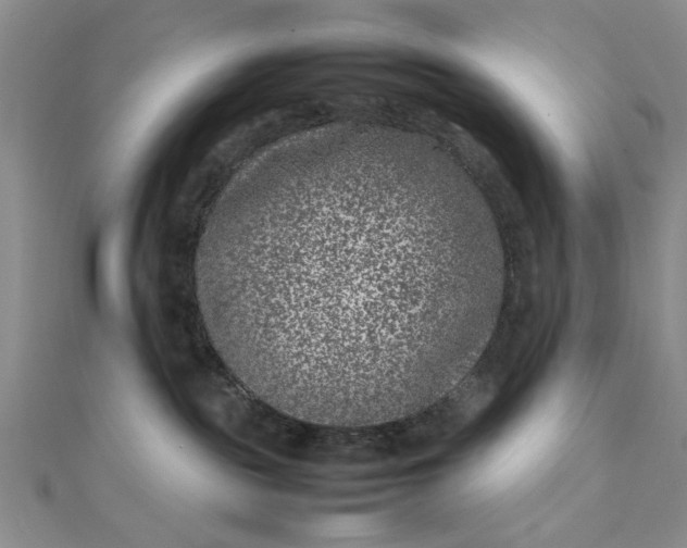 X0000111660189200907311145