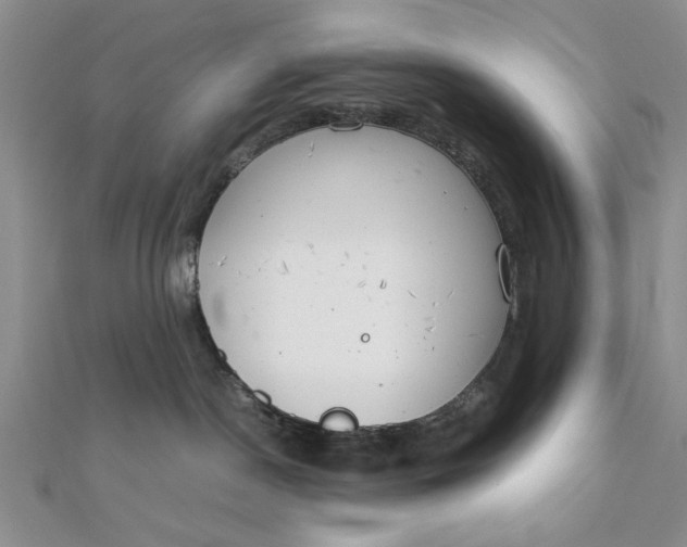 X0000111660190200907311145