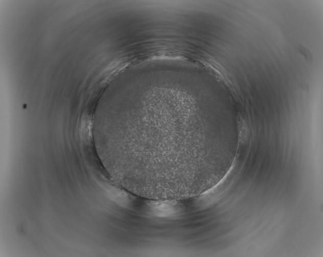 X0000111660191200907311145