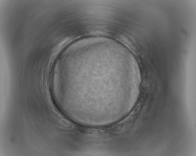 X0000111660193200907311145