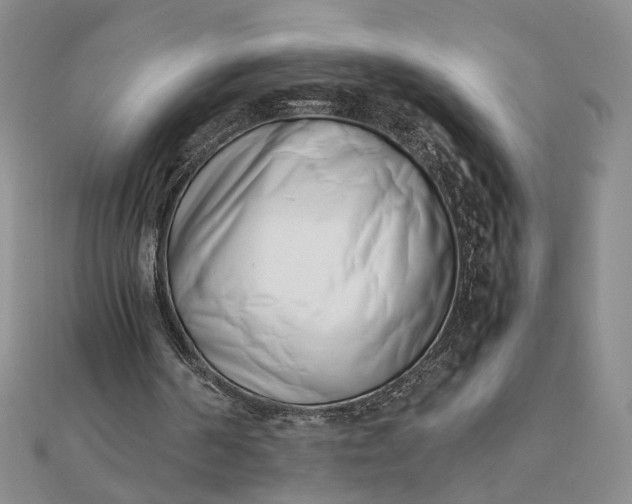 X0000111660194200907311145