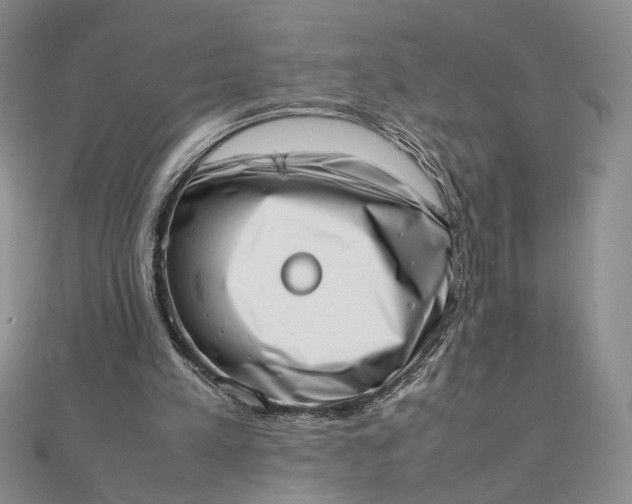 X0000111660197200907311145