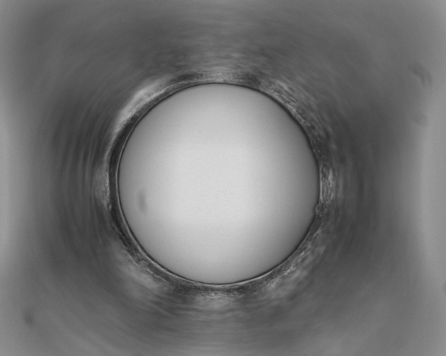 X0000111660198200907311145