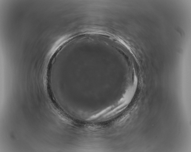 X0000111660199200907311145