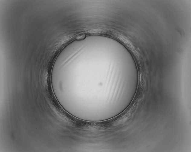 X0000111660201200907311145