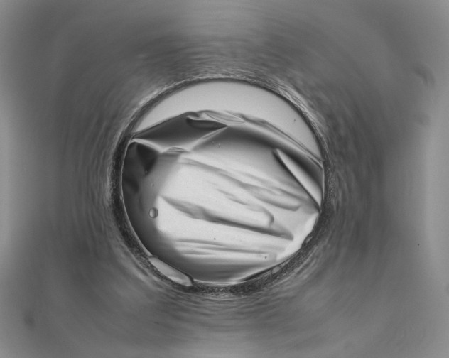 X0000111660203200907311145