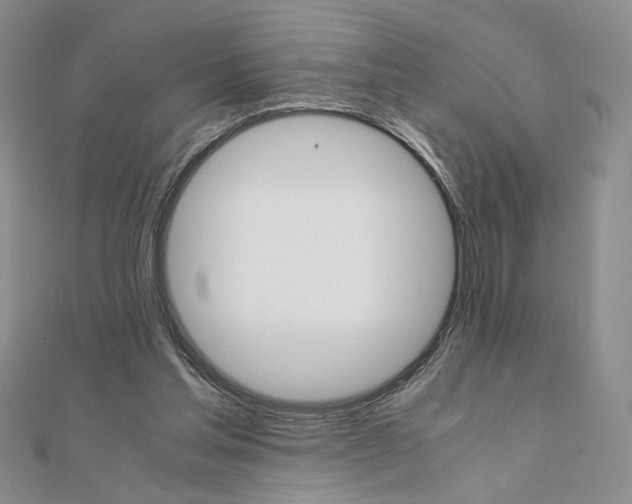 X0000111660205200907311145