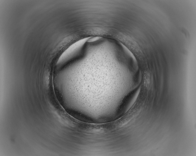 X0000111660206200907311145