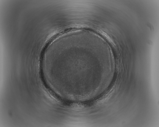 X0000111660207200907311145