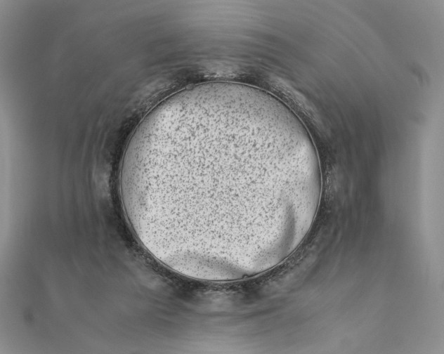 X0000111660209200907311145