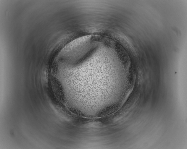 X0000111660210200907311145