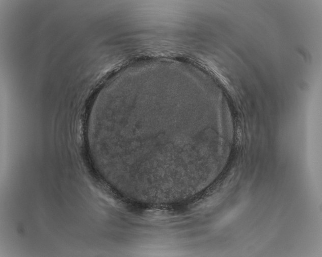 X0000111660211200907311145