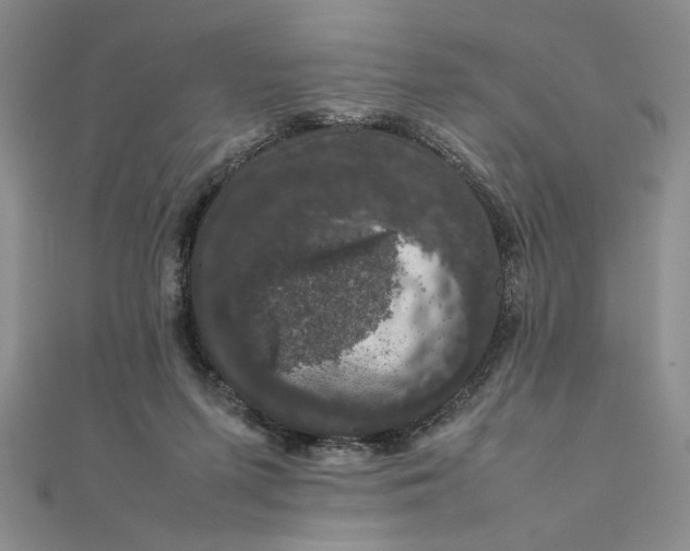 X0000111660215200907311145