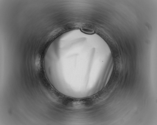 X0000111660216200907311145